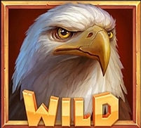สัญลักษณ์ WILD สล็อต Frontier Falcon Hold N Link