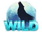 สัญลักษณ์ WILD สล็อต Wolf Reels Rapid Link